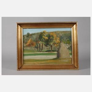 Spätsommerlandschaft