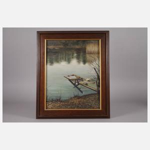 Melancholische Herbstlandschaft am See