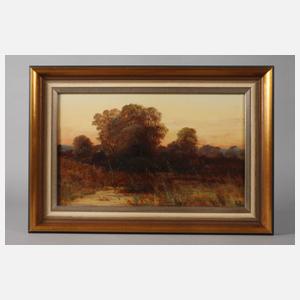 Abendstimmung am See