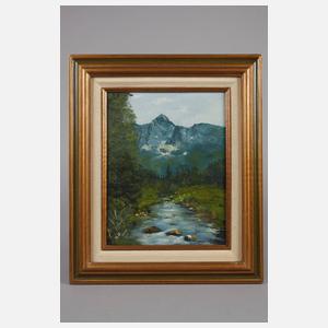 Bach in Alpenlandschaft