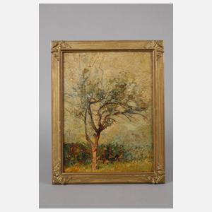 Baum in Sommerlandschaft