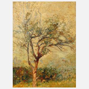 Baum in Sommerlandschaft