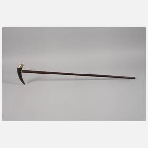 Spazierstock Horn