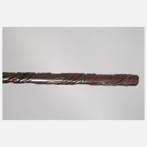 Feiner Spazierstock Schildpatt