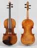 Violine