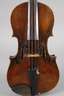 Violine