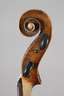 Violine