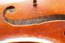 Violine