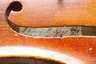 Violine