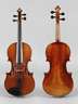 Violine