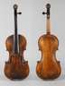 Violine