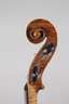 Violine