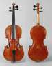 Violine