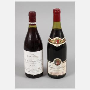 Zwei Flaschen Rotwein