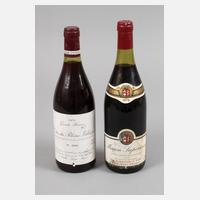 Zwei Flaschen Rotwein111