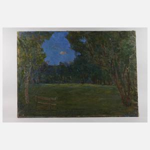 Abendstimmung im Park