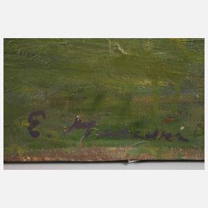 Abendstimmung im Park