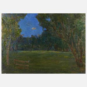 Abendstimmung im Park