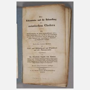 Kleines Konvolut  Schriften