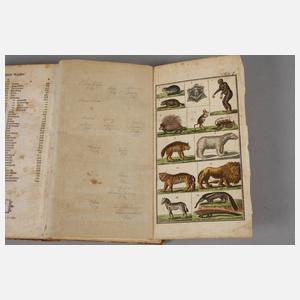 Naturgeschichte für Kinder