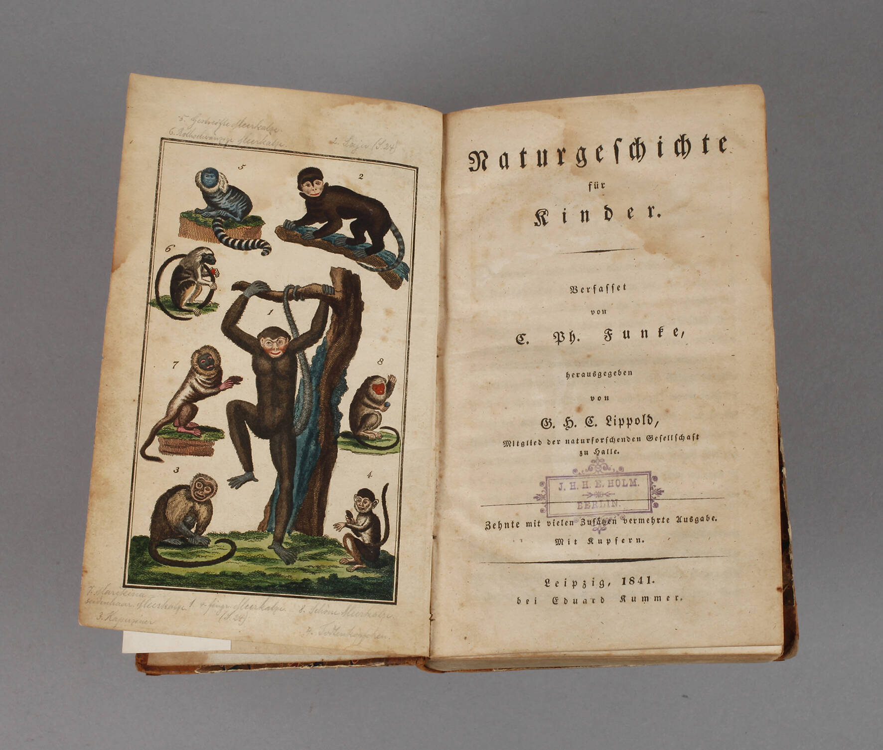 Naturgeschichte für Kinder