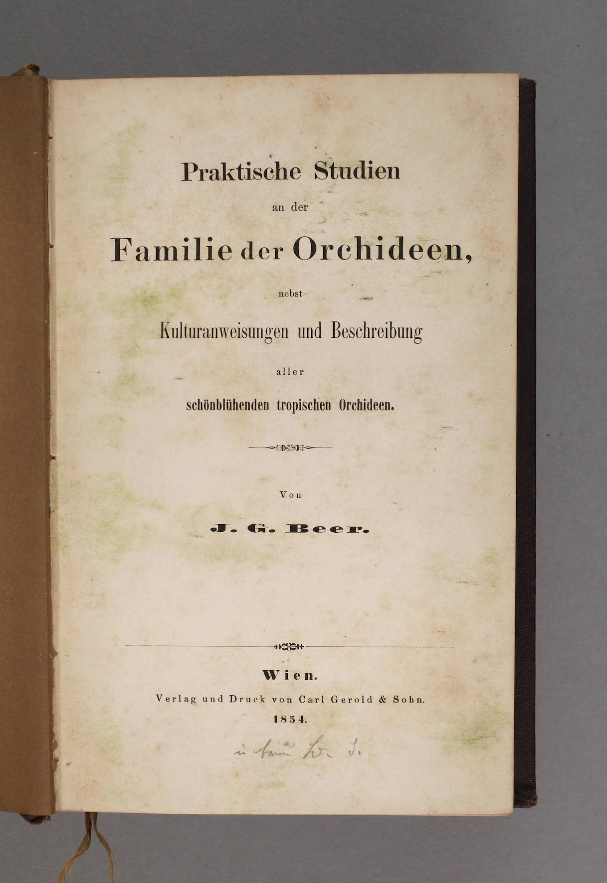 Praktische Studien an der Familie der Orchideen