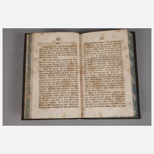 Napoleon und seine Helden