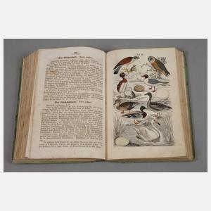 Naturgeschichte aller deutschen Zimmer-, Haus- und Jagdvögel