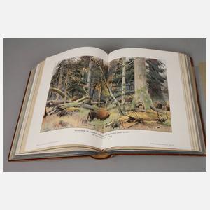 Der Mensch und die Erde