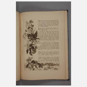 Randzeichnungen von Wilhelm Steinhausen