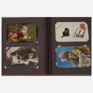 Paar Postkartenalben Hund und Katze