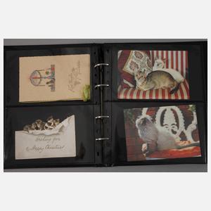 Postkartenalbum Hund und Katze