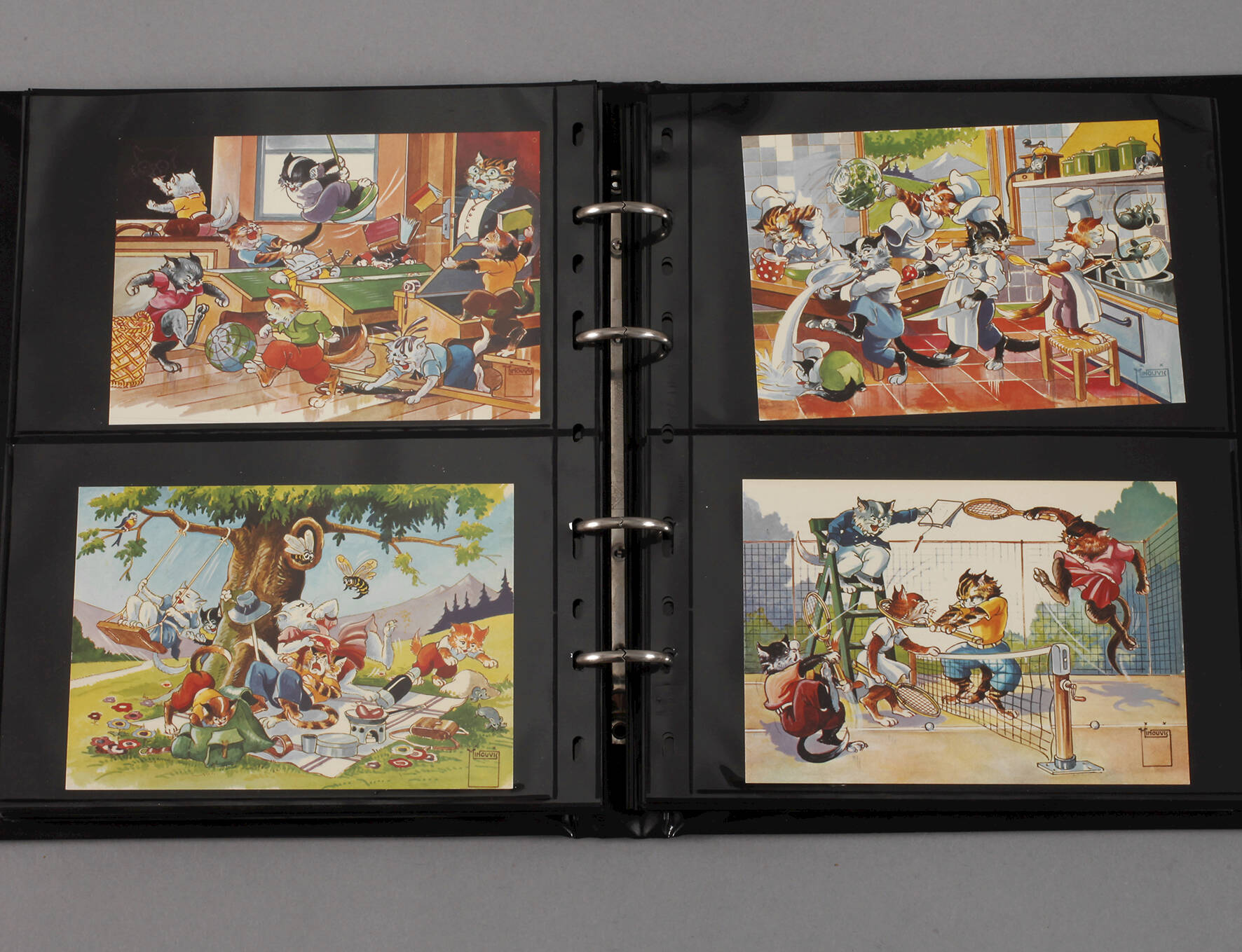 Postkartenalbum Hund und Katze