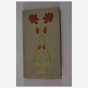 Ansichtskartenalbum Lithos und Gruss-aus