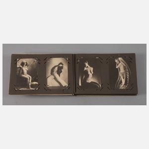 Postkartenalbum Erotik