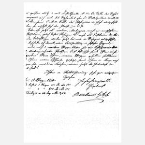 Vitrinenschrank Albin Müller