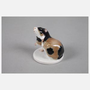 Meissen "Meerschweinchen, sich kratzend"