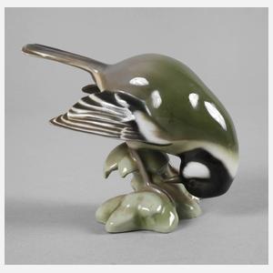 Heubach Lichte Kohlmeise