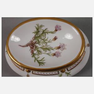 Royal Copenhagen Salière "Flora Danica"