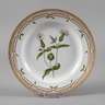 Royal Copenhagen Speiseteller "Flora Danica"
