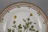 Royal Copenhagen Speiseteller "Flora Danica"