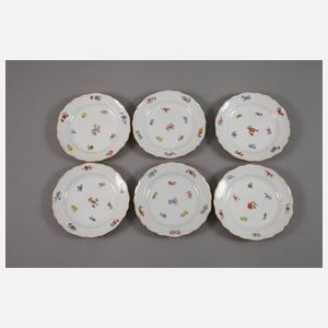 Meissen Kaffeeservice Streublümchendekor