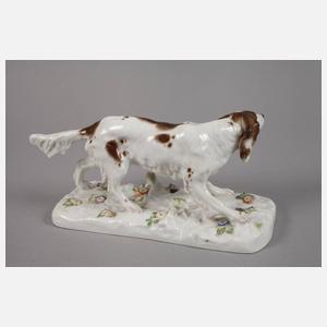 Meissen Jagdhund