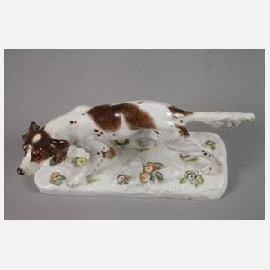 Meissen Jagdhund