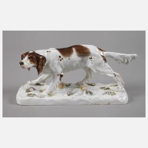 Meissen Jagdhund