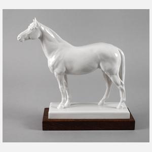 Meissen "Rennpferd Alchimist, groß"