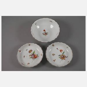 Nymphenburg Restservice mit Blumenmalerei