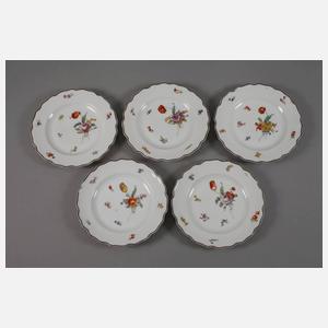 Nymphenburg Restservice mit Blumenmalerei