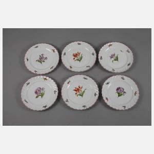 Nymphenburg elf Kuchenteller