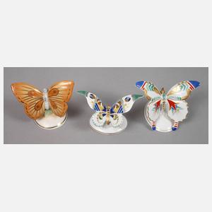 Rosenthal drei Schmetterlinge